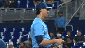 Happy Whats Up GIF by Toronto Blue Jays