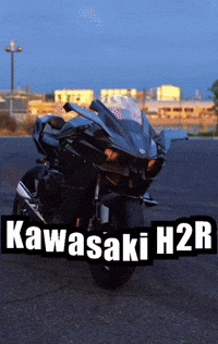 Javi GIF