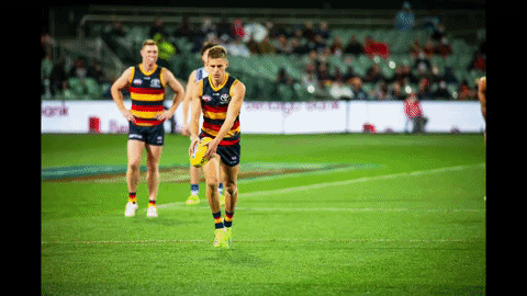 Mackay GIF by Adelaide Crows