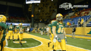 north dakota state football GIF by NDSU Athletics