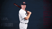 Pro GIF by USA Baseball