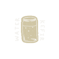 VictoriaGraphic waterkefir victoriagraphic Sticker
