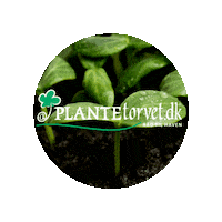 Logo Sticker by Plantetorvet.dk