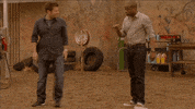 usa network television GIF by Psych