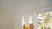 Time 2 GIF by half•alive