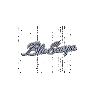 Bluscarpaestateitaliana Sticker by Blu Scarpa
