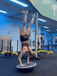 Nellgrabowski GIF