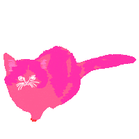 Cat Heart Sticker