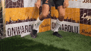 GIF by LoyolaRamblers