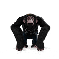 Ciro GIF by ciroylospersasoficial