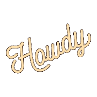TheSlowRodeo cowboy western cowgirl howdy Sticker