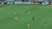 rosario central libertadores GIF by SE Palmeiras