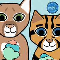 sunwestfcu credit union icu day international credit union day sunwest cares GIF