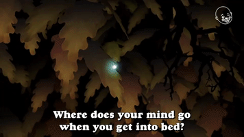 Where Does Your Mind Go When You Go To Bed?