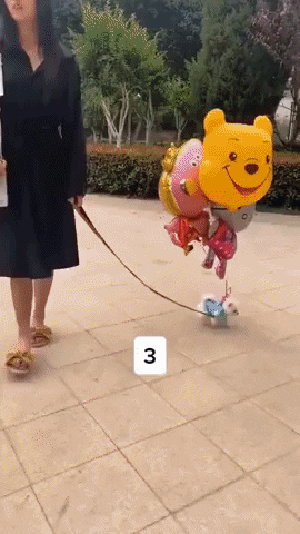 GifsUniverse giphyupload gifvif gifsuniverse GIF