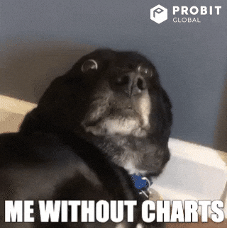 Scared Dog GIF by ProBit Global