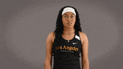 Cal State La Track GIF by Cal State LA Golden Eagles