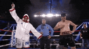 toprank fight boxing fighting espn GIF