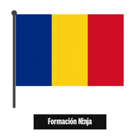 Romania Flag Sticker by Formación Ninja