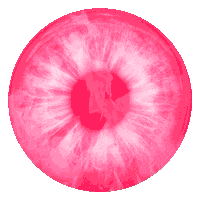 bishop briggs artist Sticker by Matt Maeson