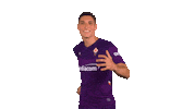 Happy Serie A Sticker by ACF Fiorentina