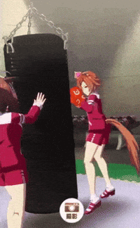 Horse Boxing GIF