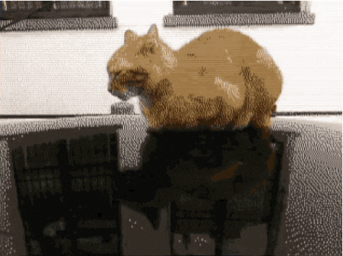 I Love You Cat GIF by ADWEEK