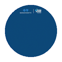 Bcbsma Sticker by Blue Cross Blue Shield of Massachusetts