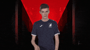 Fifa No GIF by Bundesliga