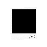 Photography Photo Sticker by Laab