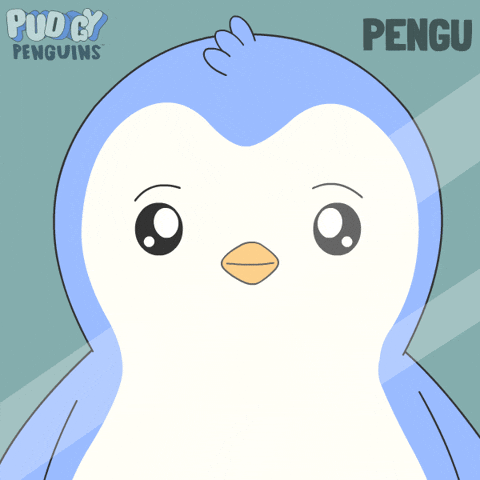 Look Love GIF by Pudgy Penguins