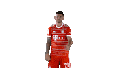 No Way Football Sticker by FC Bayern Munich