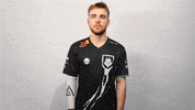 No Idea Idk GIF by G2 Esports