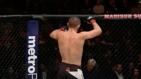 ufc 205 GIF