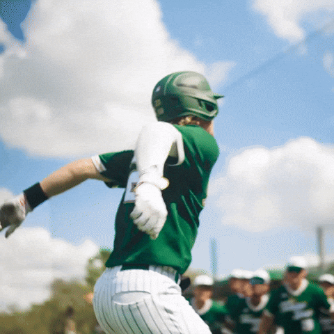 South Florida Baseball GIF by USF Athletics