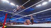 wwe sports wwe wrestling 2010 GIF