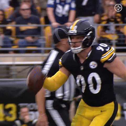 Excited Football GIF by Pittsburgh Steelers