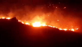 Cape Town Fire Encroaches on Nearby Homes