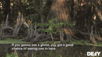 If You Gonna See A Ghost