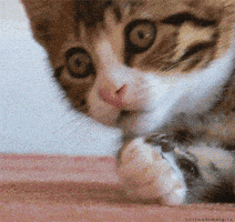 mom friend GIF