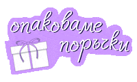 Магазин Sticker by Modest