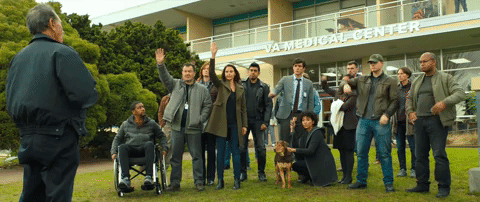 a dogs way home sony GIF by A Dog's Way HomeVerified account