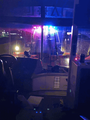 seanpaulcaseykolina giphyupload GIF