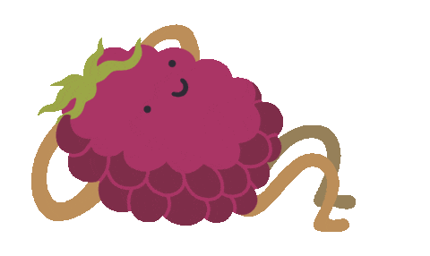 SaintSpore giphyupload toronto berry kombucha Sticker
