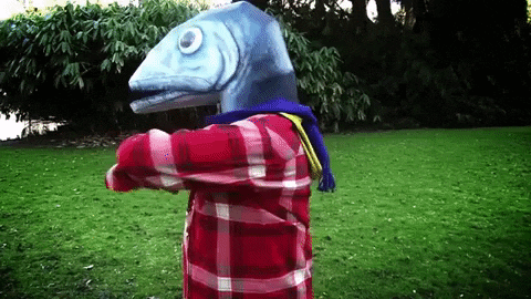 renaudleroux giphyupload GIF