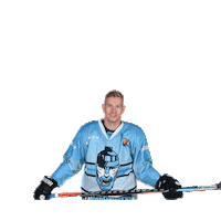 Sport Celebration Sticker by IceFightersLeipzig