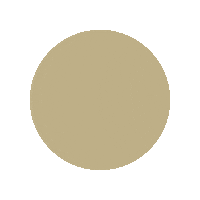 Century21 C21 Sticker by Century21Australia