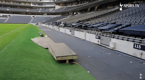 insight1 giphyupload GIF