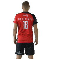 Volleyball Volley Sticker by VERVA Warszawa ORLEN Paliwa