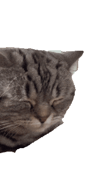 Iris Sticker by smartibapp